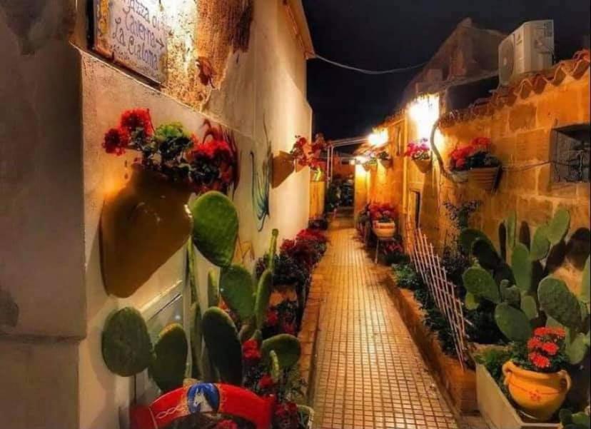 Nido Colorato B&B Fontane Bianche Εξωτερικό φωτογραφία